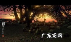 酉时是几点到几点 酉时是几点到几点钟的时辰