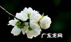 对已逝亲人思念的句子 对已逝亲人思念的句子一句话简短