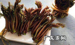 香椿不能和啥一块吃 香椿不能和什么一块吃