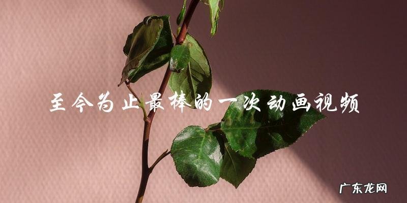 你绝对不能错过这个!——史上最棒的动画视频,你见过吗?