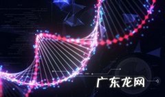 dna复制特点 简述原核生物dna复制特点