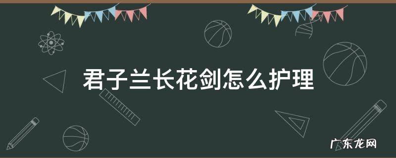 君子兰长花剑怎么护理 君子兰花期过后花剑怎么处理