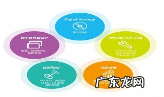 哪项是网络营销的特点 网络营销特点