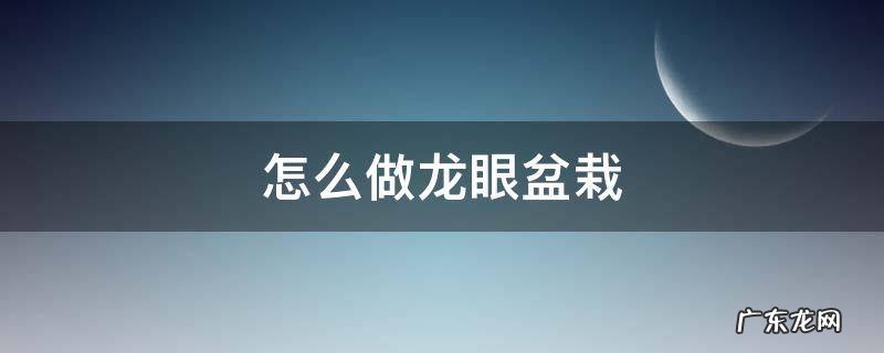 怎么做龙眼盆栽 如何盆栽龙眼