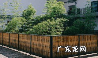 大门前栽竹子当迎门墙 大门里迎门墙种竹子好吗