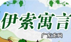 伊索寓言读后感 伊索寓言读后感100字