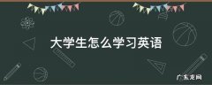 大学生怎么学习英语 大学生英语该怎么学