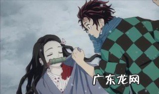 鬼灭之刃蛇柱结局 鬼灭之刃蛇柱结局是什么