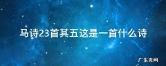马诗23首其五这是一首什么诗 马诗23首其五诗意