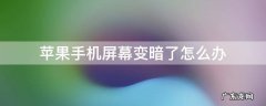 苹果手机屏幕变暗了怎么办 怎样解决苹果手机屏幕变暗