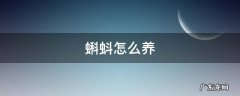 长腿的蝌蚪怎么养 蝌蚪怎么养