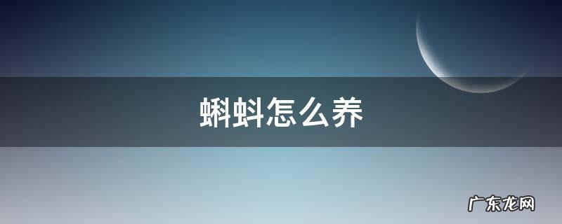 长腿的蝌蚪怎么养 蝌蚪怎么养