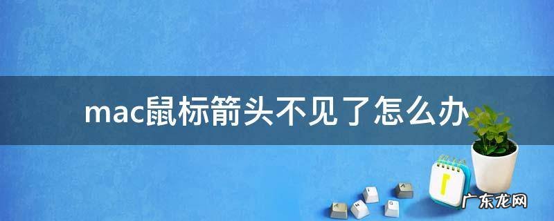 macbookpro找不到鼠标箭头 mac鼠标箭头不见了怎么办