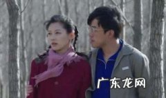 电视剧远方的山楂树剧情介绍 电视剧远方的山楂树剧情介绍大结局