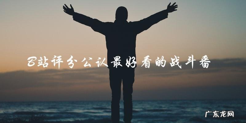 最强战斗番?B站评分公认最好看的是哪部?
