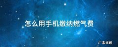 怎么用手机缴纳燃气费 在手机上怎样交燃气费