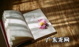 柳林风声读后感 柳林风声读后感400字左右