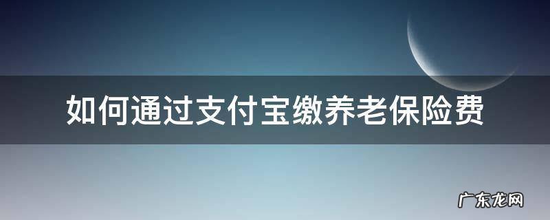 如何通过支付宝缴养老保险费 养老保险支付宝怎么缴费