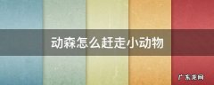 动森怎么赶走小动物 动森怎么赶走小动物 挖坑