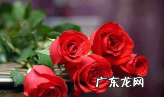情人节送女朋友什么礼物比较有意义 情人节送女朋友什么礼物比较有意义