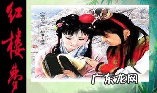 红楼梦人物介绍大全及人物特点 红楼梦人物介绍