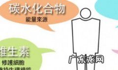 碳水化合物,蛋白质和脂肪三者之间的关系 碳水蛋白质脂肪之间的关系