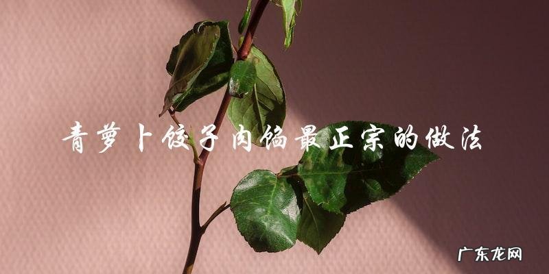 青萝卜饺子肉馅:最正宗的制作方法!