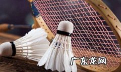 羽毛球比赛规则 羽毛球比赛规则双打规则