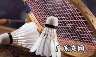 羽毛球比赛规则 羽毛球比赛规则双打规则