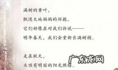 关于秋天的句子短句 关于秋天的句子