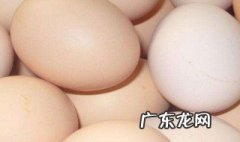 鸡蛋与毛蛋区别 鸡蛋与毛蛋区别在哪