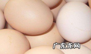 鸡蛋与毛蛋区别 鸡蛋与毛蛋区别在哪