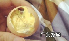 鸡蛋怎么做出毛蛋 毛鸡蛋制作视频