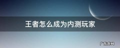 王者怎样成为内测用户 王者怎么成为内测玩家