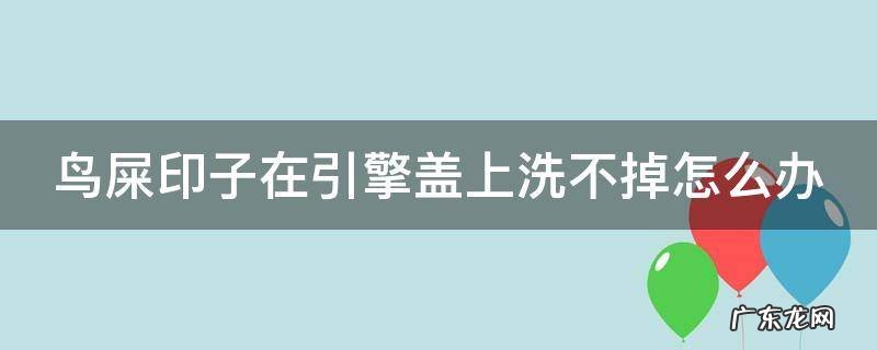 鸟屎印擦不掉 鸟屎印子在引擎盖上洗不掉怎么办