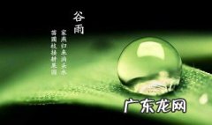 谷雨的寓意和象征,谷雨过后再无寒人间芳菲已向暖 谷雨的寓意