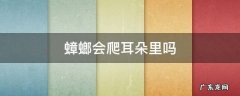 蟑螂会爬耳朵里吗 蟑螂会爬耳朵里吗?