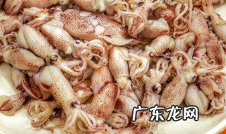 鱿鱼仔有什么营养价值吗 鱿鱼仔什么功效与作用