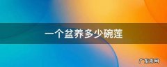 一个盆养多少碗莲 碗莲需要多大的花盆