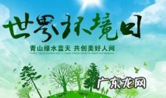 世界环境日是哪一天 每年的世界环境日是哪一天