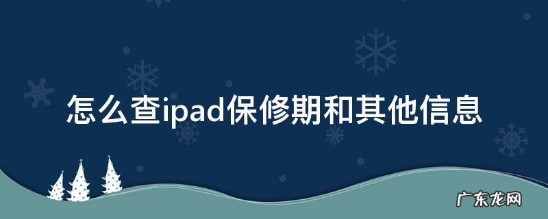 怎么查iPad的保修期 怎么查ipad保修期和其他信息