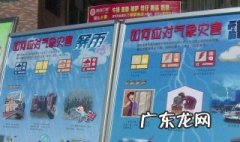 我国的防灾减灾日是哪一天 我国的防灾减灾日是哪一天一