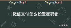微信支付怎么设置密码锁不让别人看 微信支付怎么设置密码锁
