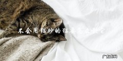 如何教不会使用猫砂的猫咪？
