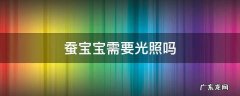 蚕宝宝需要晒太阳吗 蚕宝宝需要光照吗