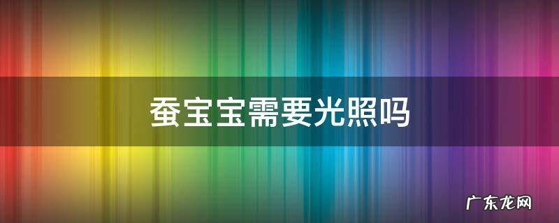 蚕宝宝需要晒太阳吗 蚕宝宝需要光照吗