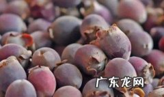 桃金娘娘功效与作用 桃金娘的作用与功效与作用