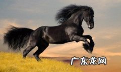 关于马的诗句豪情诗句 关于马的诗句