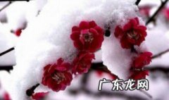 关于冬天的诗 关于冬天的诗句 小学