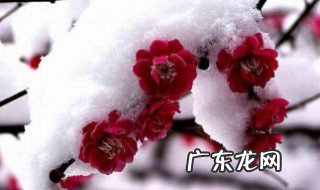关于冬天的诗 关于冬天的诗句 小学